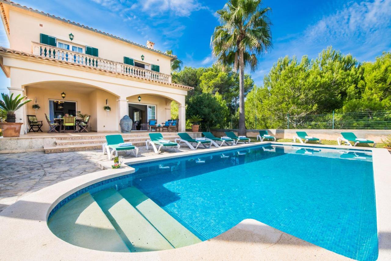 Ideal Property Mallorca - Didi Alcúdia Eksteriør bilde